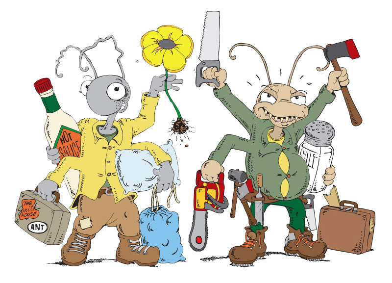 Lloyd Pest Control – Ant & Termite